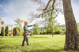 Best Pest Control for Lawns  in Ironwood, MI
